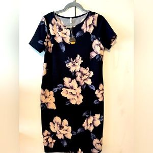 NWT Pinkblush short sleeve maternity dress